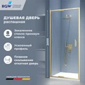 Душевая дверь RGW SV-05-2Gb (Прозрачное, 800) 703205208-16