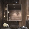 Зеркало Роберта Степ 800 660
