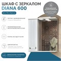 Шкаф навесной с зеркалом Диана 600 (левый) со спотом z.DIA.60.L.El