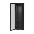 Шкаф EQUIL Stoune 25.1D со стеклом узкий универсальный, дуб черный (sSTOUNE25.1D.R/L-35) sSTOUNE25.1D.R/L-35