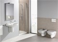 THE GAP ORIGINAL Зеркало  450х850 мм, светильник (подходит к серии DEBBA) Z.RU90.0.009.0