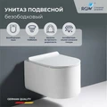 Унитаз подвесной RGW SW-54 80420254-01