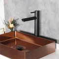Смеситель высокий для раковины Gid Berlin SS080-BM-D, однорычажный, черный матовый SS080BMD