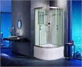 Душевая кабина WeltWasser WW500 Halle 801 80x80 10000003238 профиль хром, стекло прозрачное 10000003238