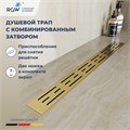 Душевой лоток Drain Leo-30Gb 60213040-06