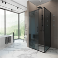 Душевая стенка ALEX BAITLER 6 серия SG64B80 тонированное стекло SG64B80
