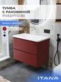 Тумба с раковиной в ванную ИТАНА Роберто, подвесная 4657865076969