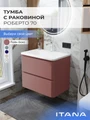 Тумба с раковиной в ванную ИТАНА Роберто, подвесная 4657865076969