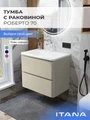Тумба с раковиной в ванную ИТАНА Роберто, подвесная 4657865076969
