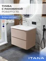 Тумба с раковиной в ванную ИТАНА Роберто, подвесная 4657865076969