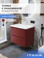 Тумба с раковиной в ванную ИТАНА Роберто, подвесная 4657865076969