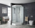 Душевая кабина Niagara Premium NG-6001-01D (90х90х220) низкий поддон(16 см),стекло прозрачное,4 места 60010114D