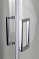 Душевая кабина Niagara Premium NG-6002-01G (100х100х210) низкий поддон(16 см),стекло прозрачное,4 места 60020114G