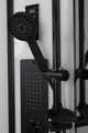 Душевая кабина Niagara Premium NG-6901-01GD BLACK (90х90х220) низкий поддон(16см),черный,стекло тонированное,4 места 69010134GDBLACK