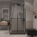 Душевая перегородка Niagara Nova NG-686-12BLACK (120х195) черный матовый,стекло прозрачное,1 место NG-686-12BLACK