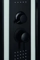 Душевая кабина Niagara Premium NG-6902-01G BLACK (100х100х210) низкий поддон(16см),черный,стекло тонированное,4 места 69020134GBLACK