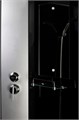 Душевая кабина Niagara Classic NG-2510-14LBKT (120х80х210) высокий поддон(40см),стекло тонированное,4 места 25101434LBKT