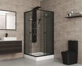 Душевой уголок Niagara Eco NG-009-14QT (90х90х195) низкий поддон(13см),черный,стекло тонированное,2 места _0091432QT
