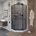 Душевой уголок Niagara Eco NG-010-14DT (100х100х195) низкий поддон(13см),черный,стекло тонированное,2 места _0101432DT