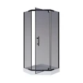 Душевой уголок Niagara Eco NG-010-14DT (100х100х195) низкий поддон(13см),черный,стекло тонированное,2 места _0101432DT