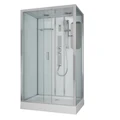 Душевая кабина Niagara Premium NG-6012-01GQL (120х80х210) низкий поддон(16 см),стекло прозрачное,5 мест 60120114GQL