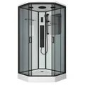 Душевая кабина Niagara Premium NG-6902-01GD BLACK (100х100х220) низкий поддон(16 см),черный,стекло тонированное,4 места 69020134GDBLACK