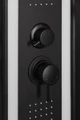 Душевая кабина Niagara Premium NG-6902-01GD BLACK (100х100х220) низкий поддон(16 см),черный,стекло тонированное,4 места 69020134GDBLACK