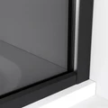 Душевая перегородка Niagara Nova NG-689-10TBLACK (100х200) черный матовый,стекло тонированное,1 место NG-689-10TBLACK