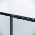 Дверь в нишу Niagara Nova NG-88-12AB (120х195) черный матовый,дверь раздвижная,стекло прозрачное,1 место NG-88-12AB
