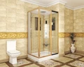 Душевая кабина Niagara Luxe NG-7711GR (90x120х215) низкий поддон(15см),дверь раздвижная,стенки золото,6 мест 7711GR