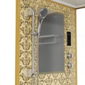 Душевая кабина Niagara Luxe NG-7714G (100x90х215) низкий поддон(15см),дверь распашная,стенки золото,5 мест 7714G