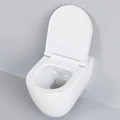 Унитаз Queen 113T20001R (570*360*400) БЕЛЫЙ подвесной БЕЗОБОДКОВЫЙ, 1 место 113T20001R