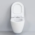 Унитаз Queen 113T20001R (570*360*400) БЕЛЫЙ подвесной БЕЗОБОДКОВЫЙ, 1 место 113T20001R