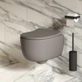Унитаз Abner 103T20301R (545*360*330) МАТОВЫЙ СЕРЫЙ подвесной БЕЗОБОДКОВЫЙ, 1 место 103T20301R