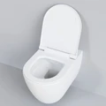 Унитаз Ambassador Queen 113T20101R (570*360*400) БЕЛЫЙ МАТОВЫЙ подвесной БЕЗОБОДКОВЫЙ, 1 место 113T20101R