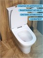 Унитаз напольный безободковый с быстросъемным сиденьем микролифт Watersense Jessie W00135