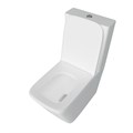 Унитаз напольный безободковый с быстросъемным сиденьем микролифт Watersense Eva W00089