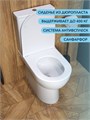 Унитаз напольный безободковый с быстросъемным сиденьем микролифт Watersense Alina W00091