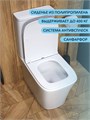 Унитаз напольный безободковый с быстросъемным сиденьем микролифт Watersense Amelia W00093