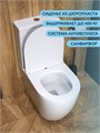 Унитаз напольный безободковый с быстросъемным сиденьем микролифт Watersense Milana R W00747