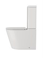 Унитаз напольный безободковый с быстросъемным сиденьем микролифт Watersense Rita R W01656 W01656