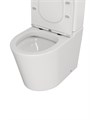 Унитаз напольный безободковый с быстросъемным сиденьем микролифт Watersense Rita R W01656 W01656