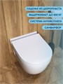 Унитаз подвесной безободковый Watersense Nancy Pro, быстросъемное сиденье микролифт W00162 W00162