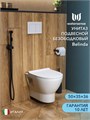 Унитаз подвесной безободковый с быстросъемным сиденьем микролифт Watersense Belinda W00149 W00149