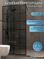 Душевая перегородка 100x200 стекло тонированное закаленное профиль черный матовый Watersense Eva W02093