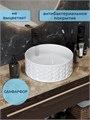 Раковина для ванной круглая накладная Watersense Paula D38 белая W00759