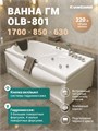 Ванна ГМ 1700*850*630 с насосом OLB-801 с переливом EG200003