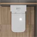 Унитаз-моноблок EG411 безободковый, сиденье тонкое ДП, арматура (с гофрой и подводкой) EG050052