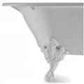 Чугунная отдельностоящая ванна Jacob Delafon Cleo E2901N-00, 175 х 80 см, белая E2901N-00
