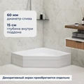 Душевой поддон трапеция RGW BT/CL-S 16180588-51